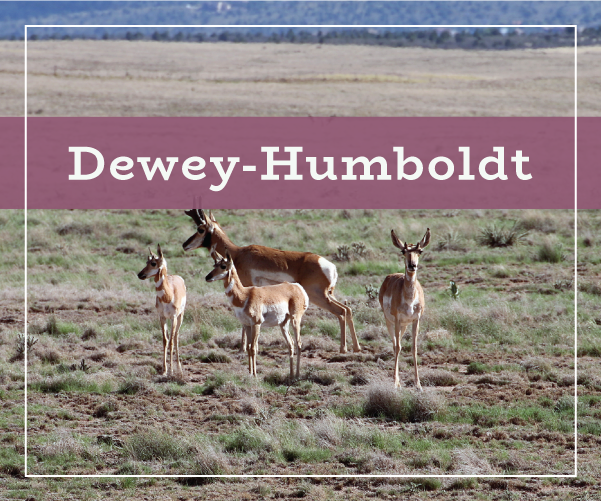 Dewey-Humboldt Real Estate